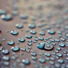 Bildvorschau mit Wasserzeichen